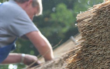 professional Dallas thatchers